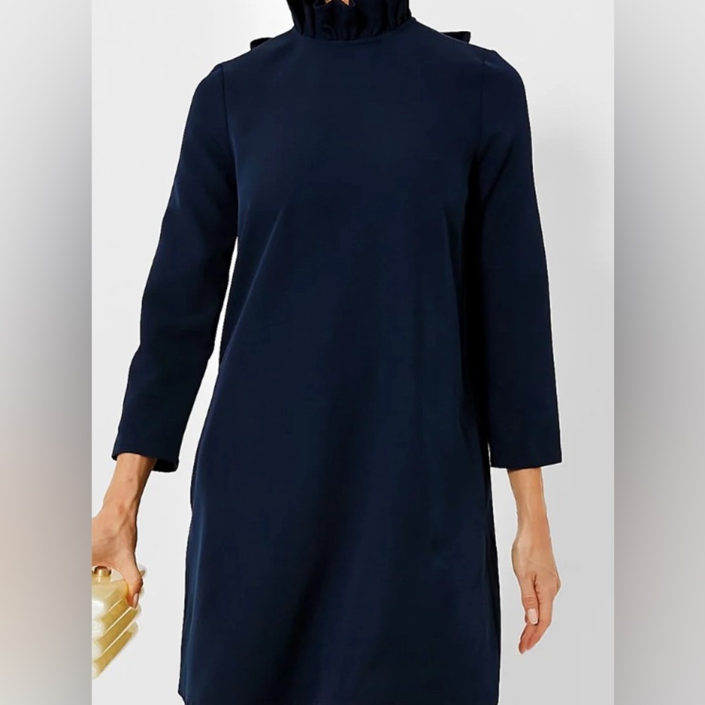 Navy Tuckernuck dress size medium